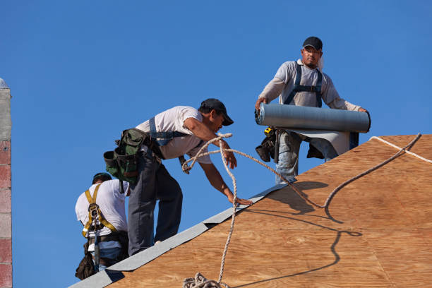 Best Roof Waterproofing Services  in Bemiss, GA